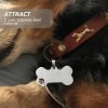 Dog tag